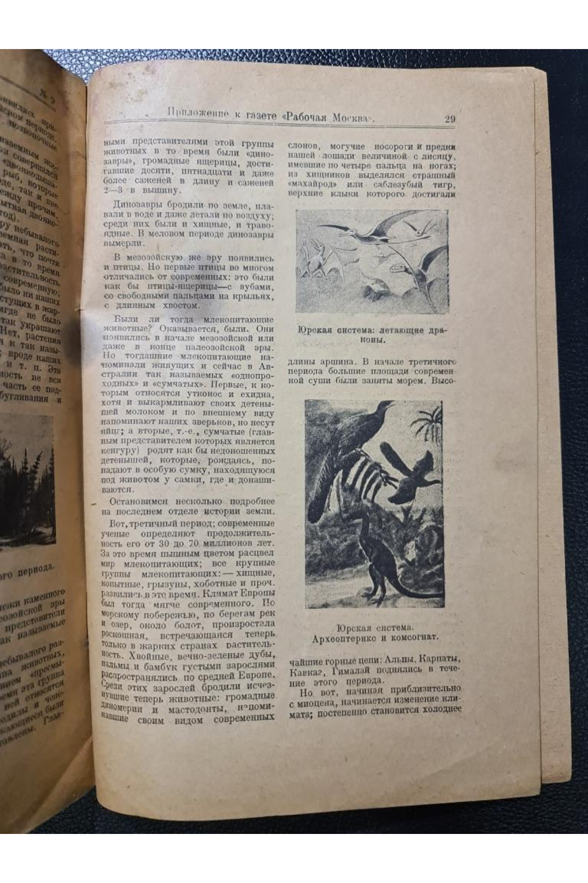 Самоучка научно популярный журнал 1924 г.