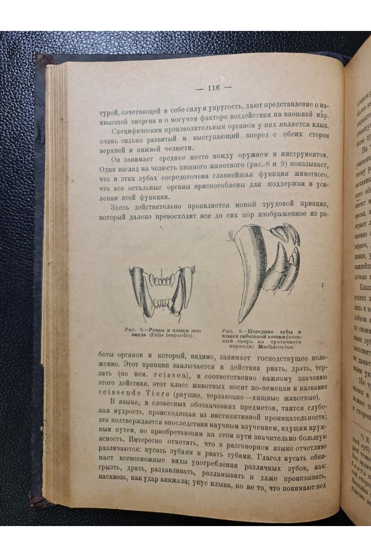 Орудие труда и его значение в истории развития человечества 1925 г