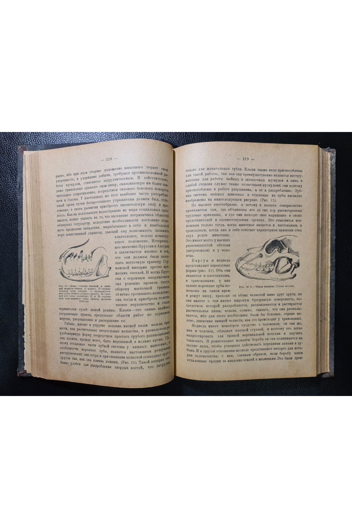 Орудие труда и его значение в истории развития человечества 1925 г