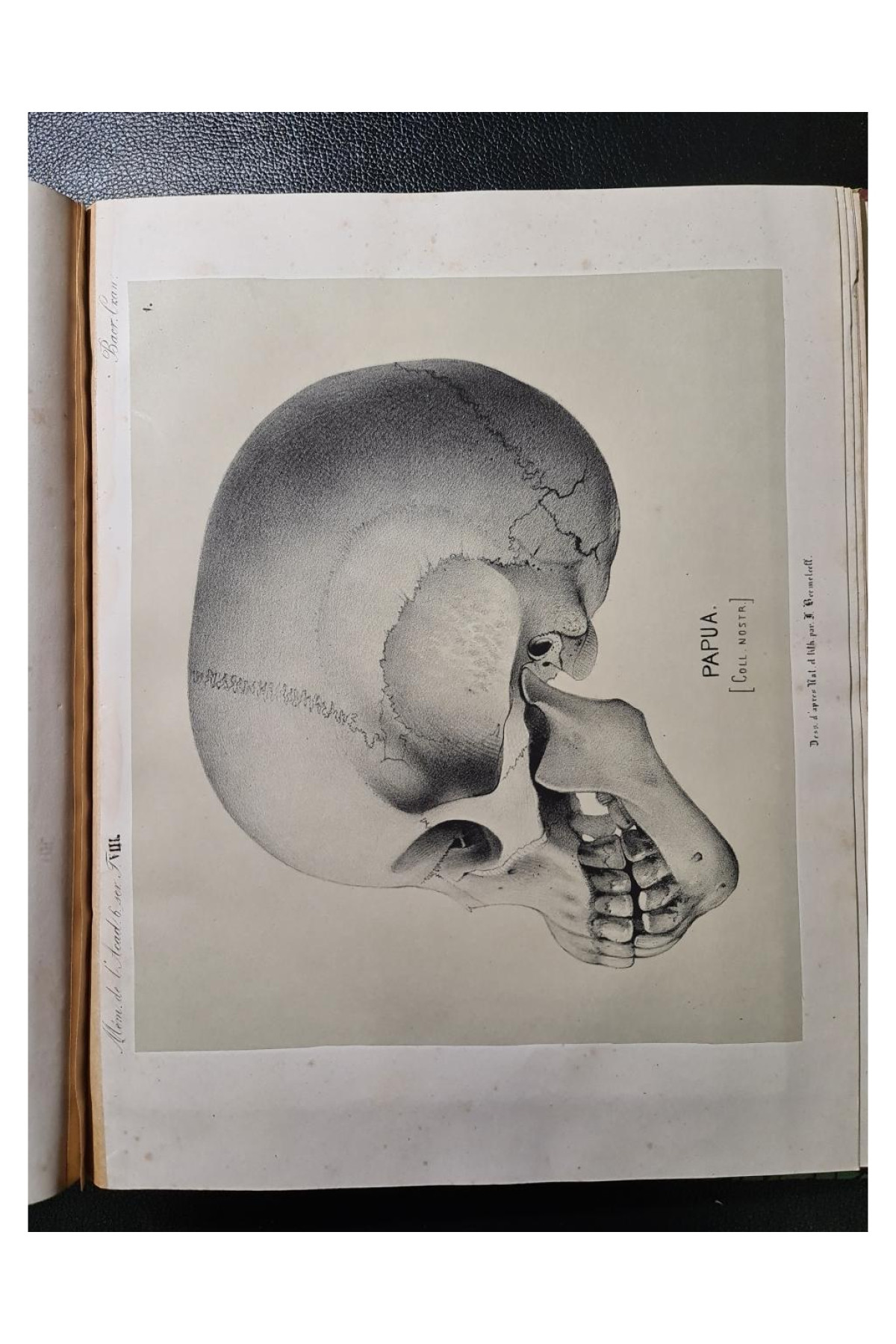 1859 г. Записки Императорской Санкт-Петербургской Академии наук.