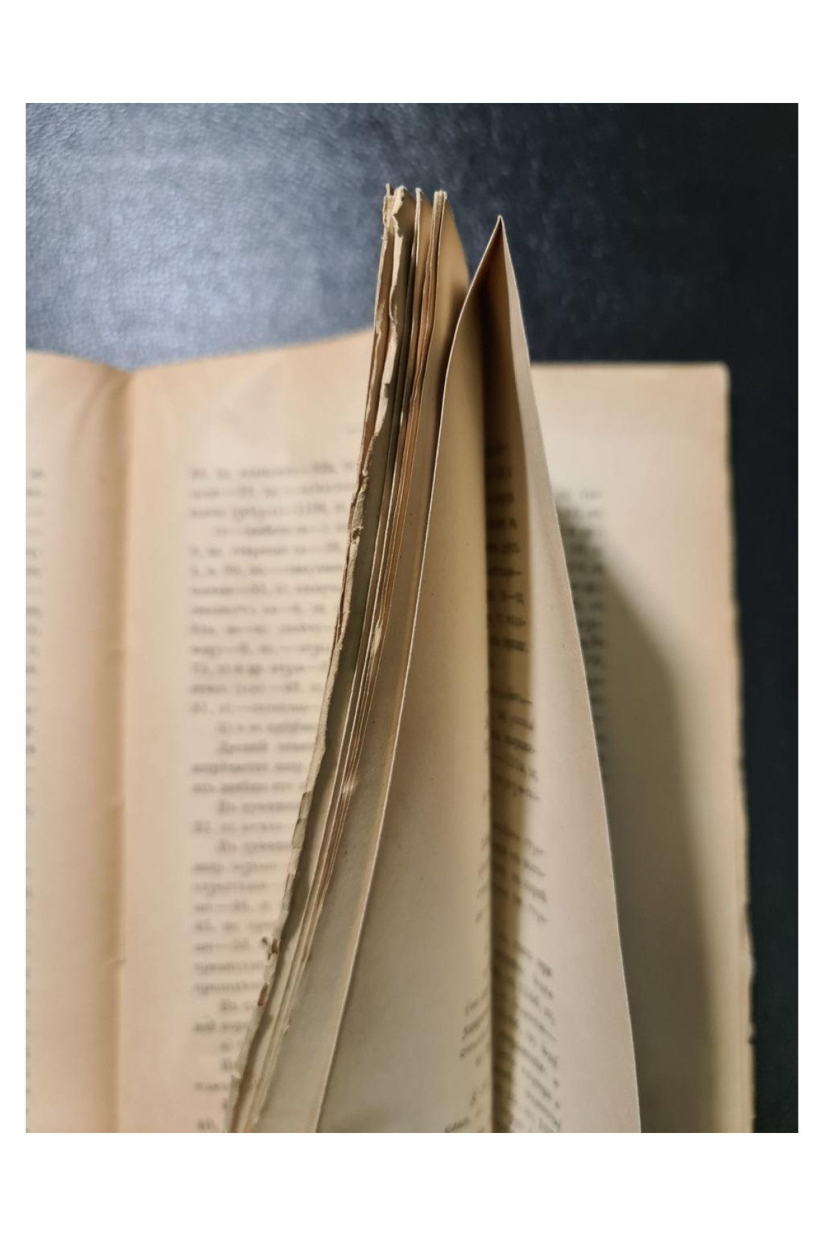 1897 г. Заметки о языке Повесть временных лет по Лаврентьевскому списку летописи 