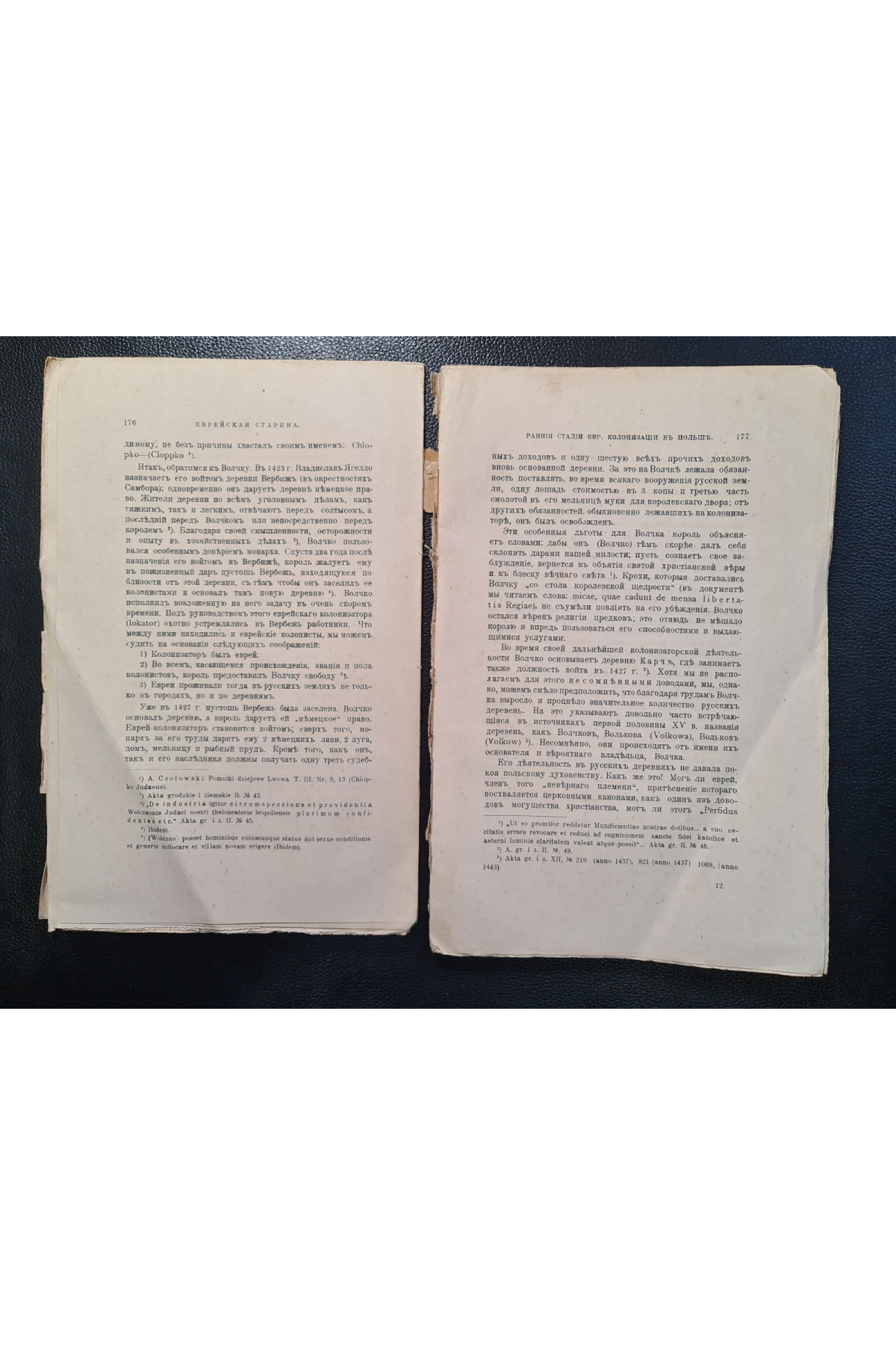Еврейская старина. Раннія стадия еврейской колонизаціи в Польше Сельская колонизація 