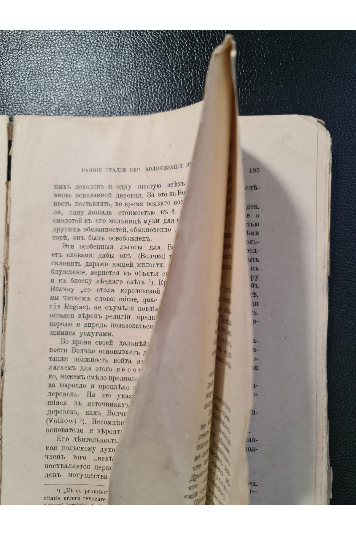 Еврейская старина. Раннія стадия еврейской колонизаціи в Польше Сельская колонизація 