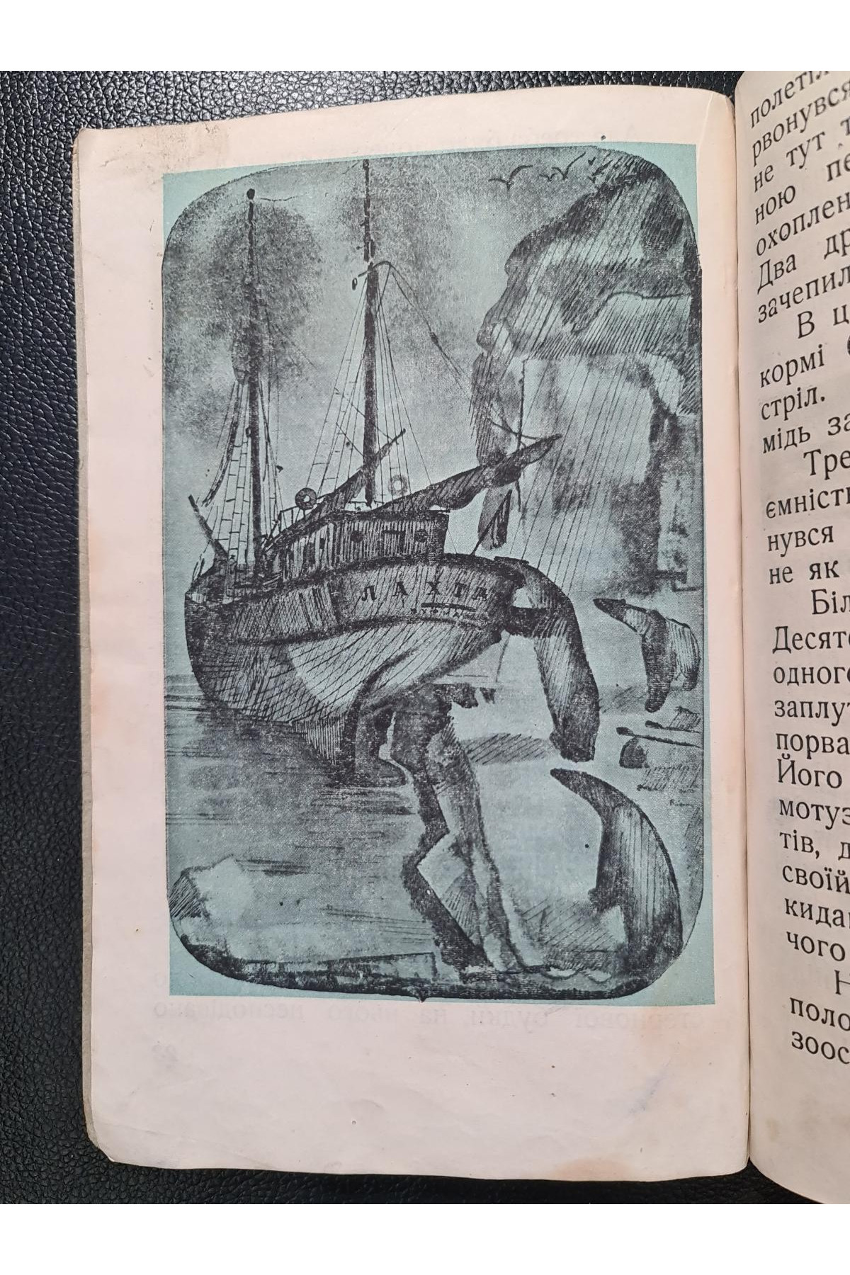 1933 р. Лови Білого Ведмедя ДВОУ малюнки Є. Рачова 