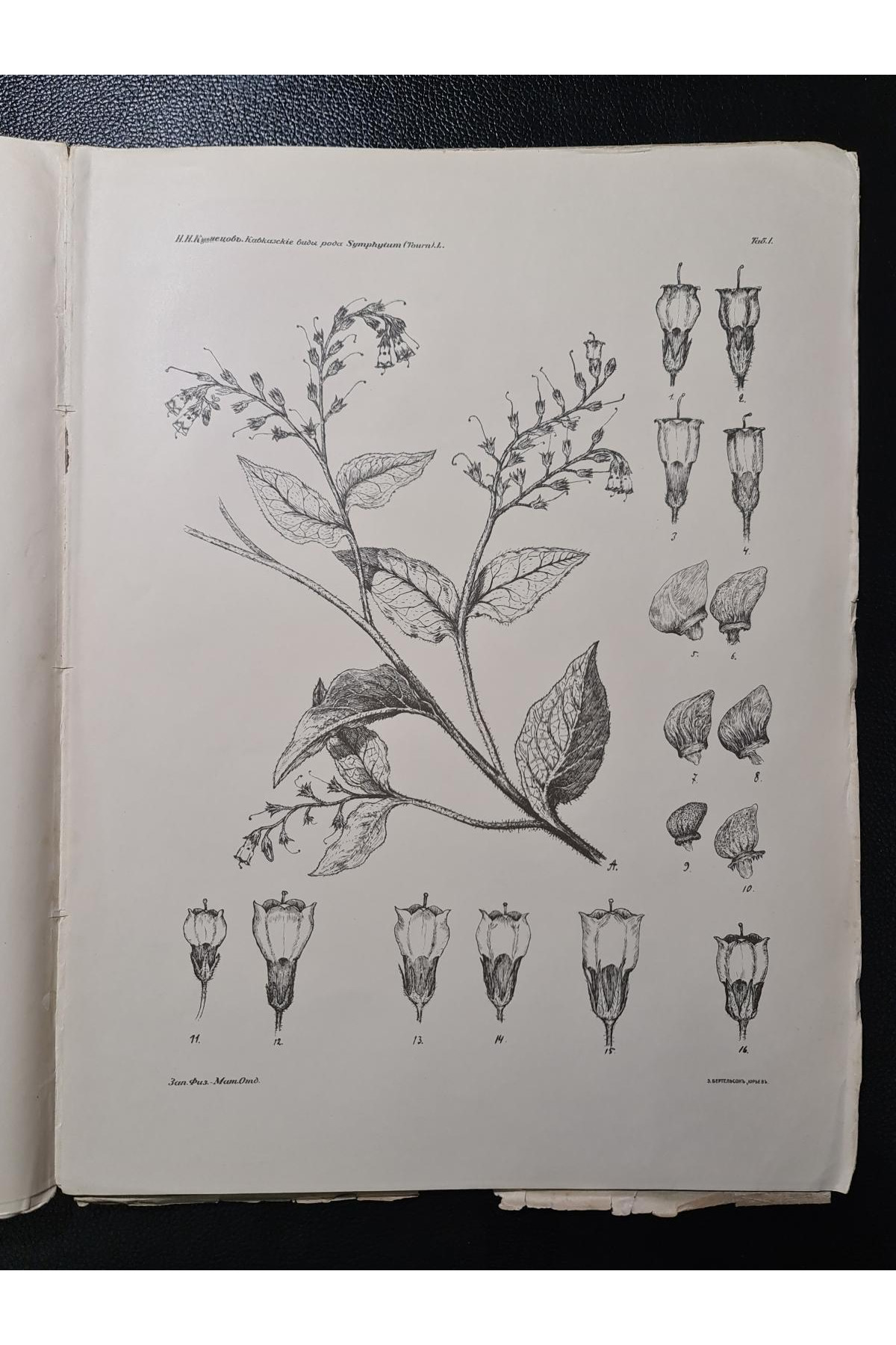 1910 г. Метеорологические наблюдения в россии во время солнечного затмения 1 января 1907 г.  Н. А. Коростелев