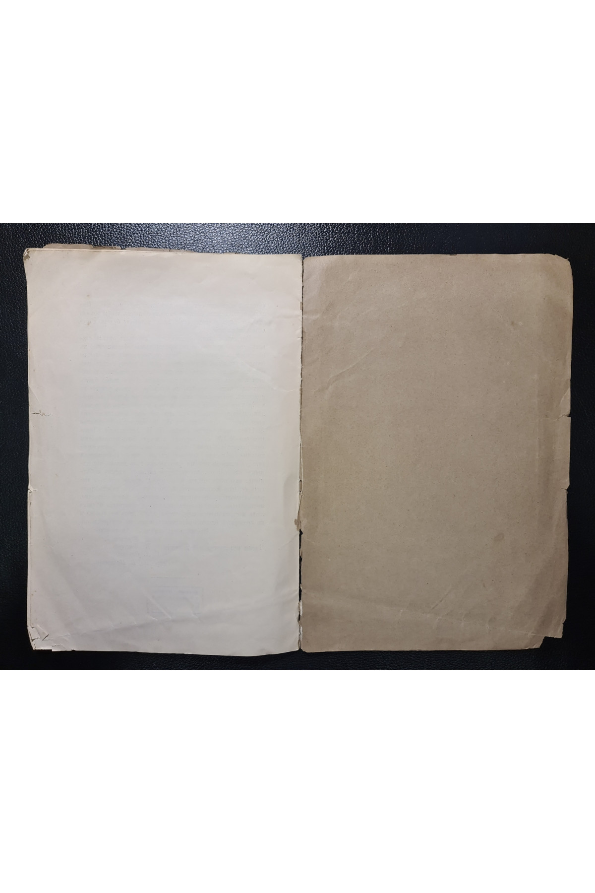 1896 г. Нужды шелководства и пчеловодства в районах деятельности Киевского общества сельского хозяйства