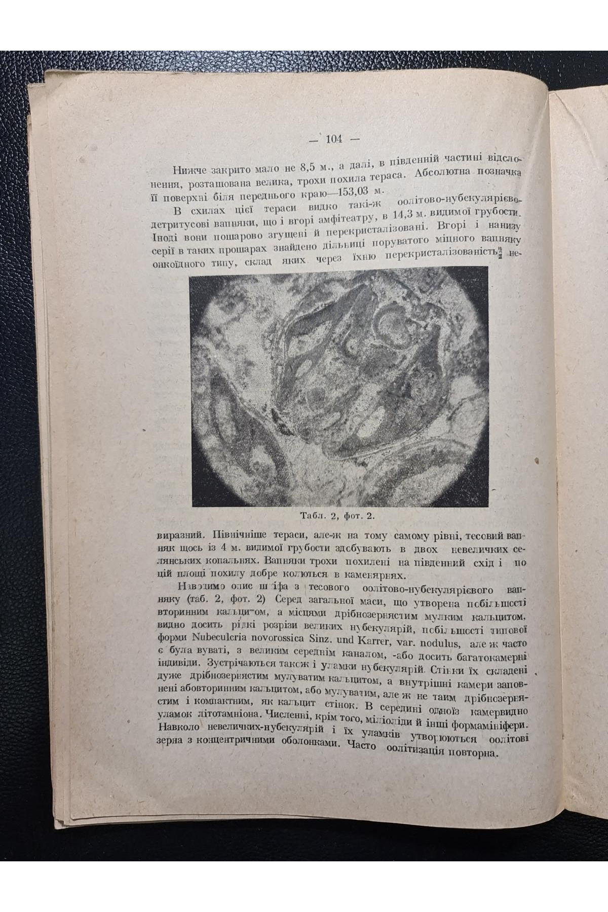1931 г. Вапняки Тульчинщини