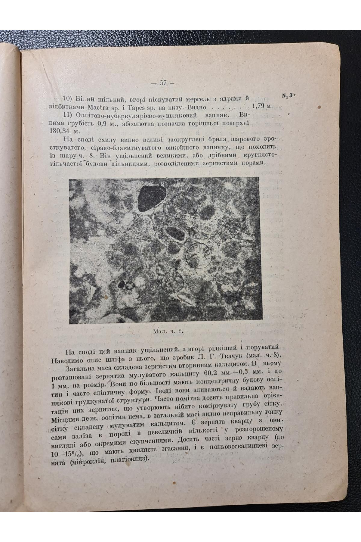 1931 г. Вапняки Тульчинщини