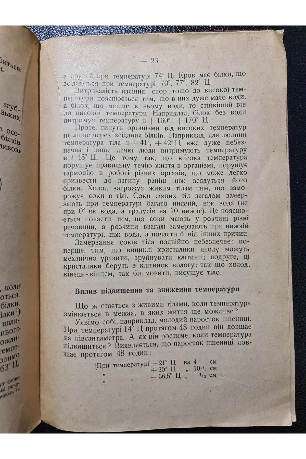 1929 р. Між життям і смертю
