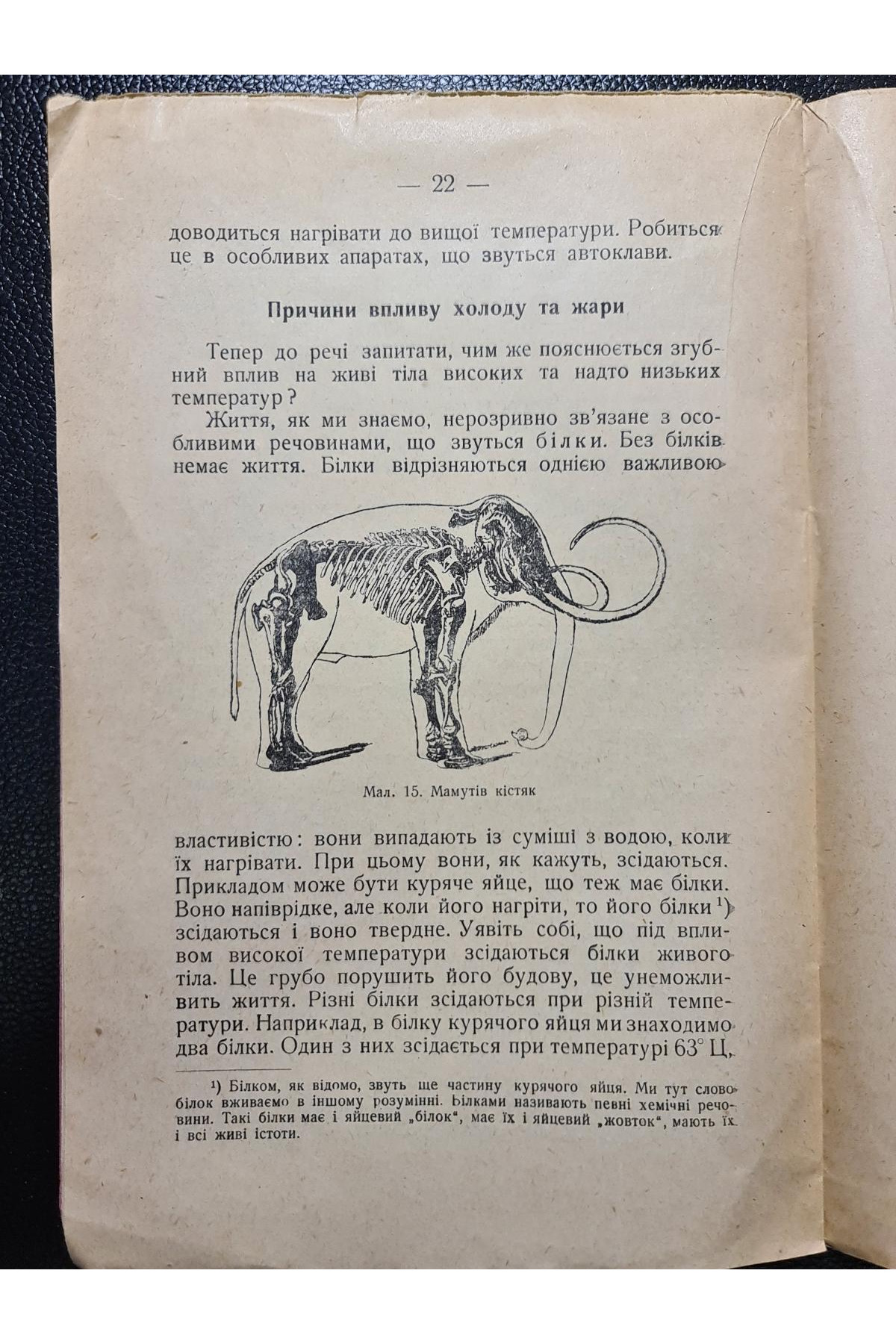 1929 р. Між життям і смертю