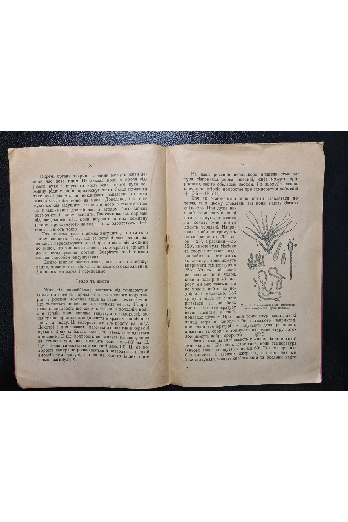 1929 р. Між життям і смертю