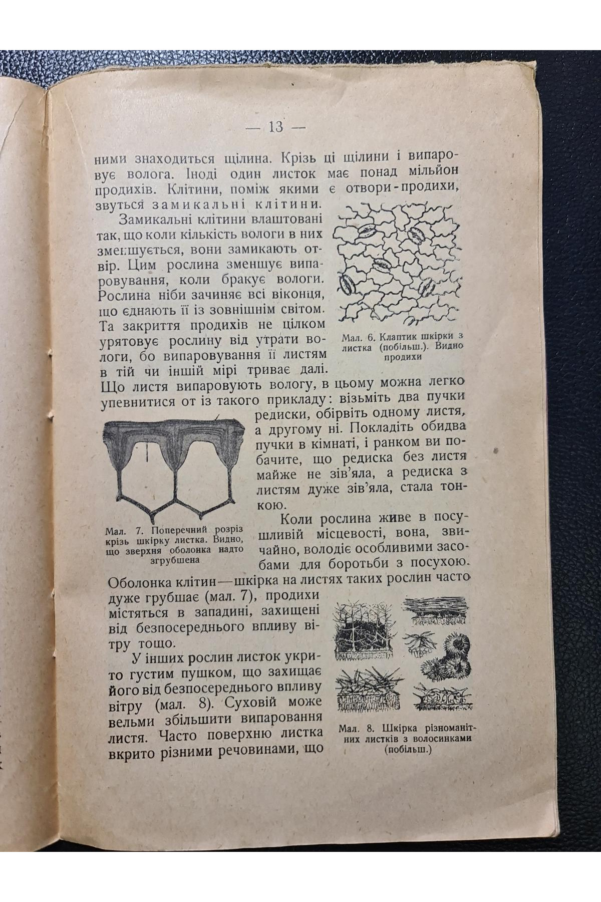 1929 р. Між життям і смертю