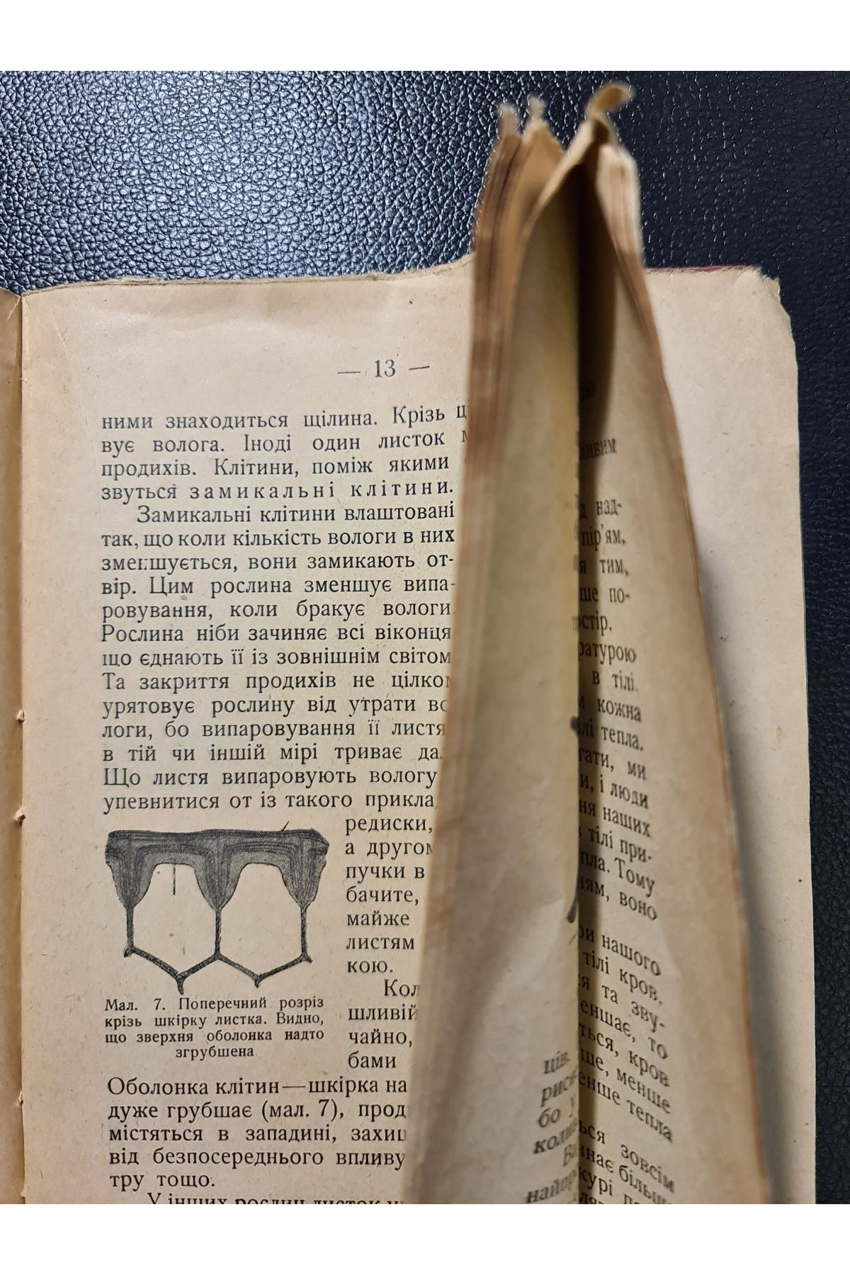 1929 р. Між життям і смертю