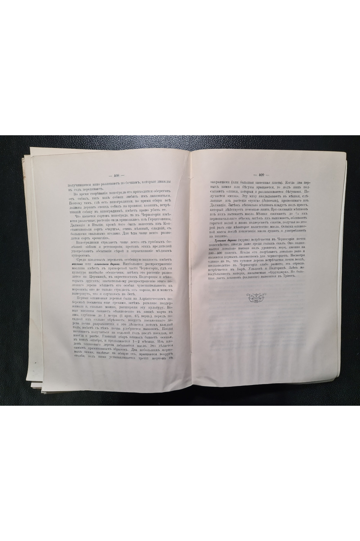 1914 г. Славянские земли. Том I. Юго-Западный район