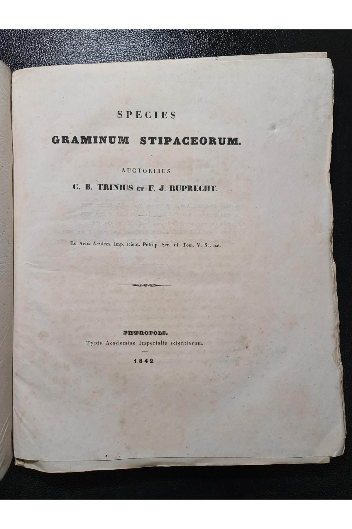 1842 г. Ботаническй труд, описывающего различные виды растений семейства злаков