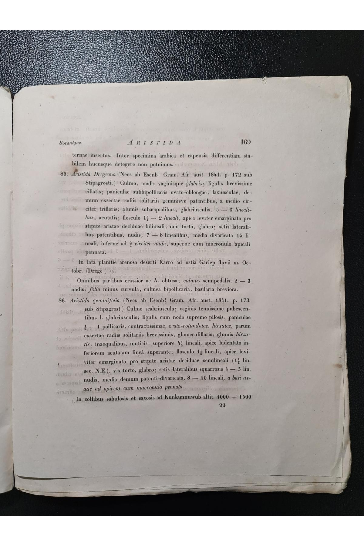 1842 г. Ботаническй труд, описывающего различные виды растений семейства злаков