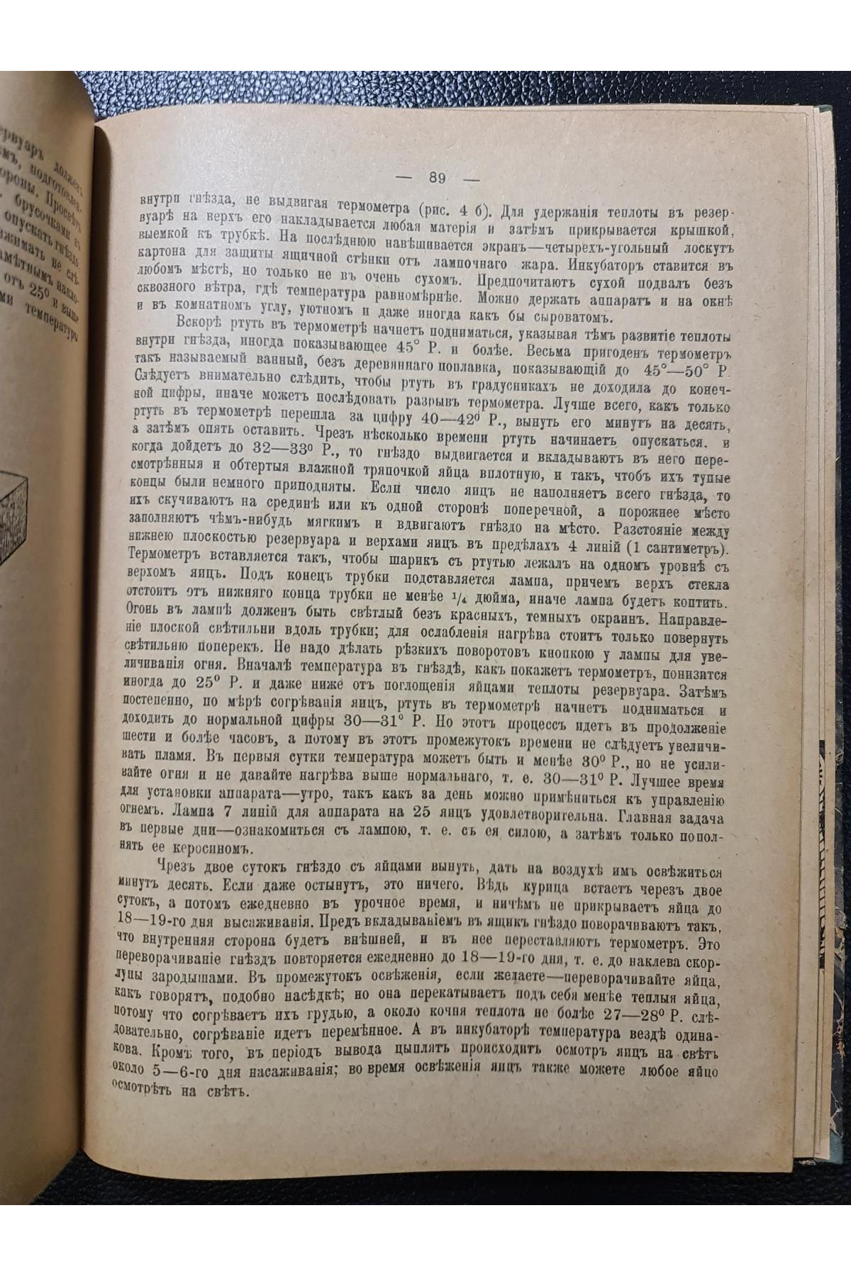 1910 г. Сборник сведений и советов по сельскому хозяйству, кустарным промыслам и домоводству