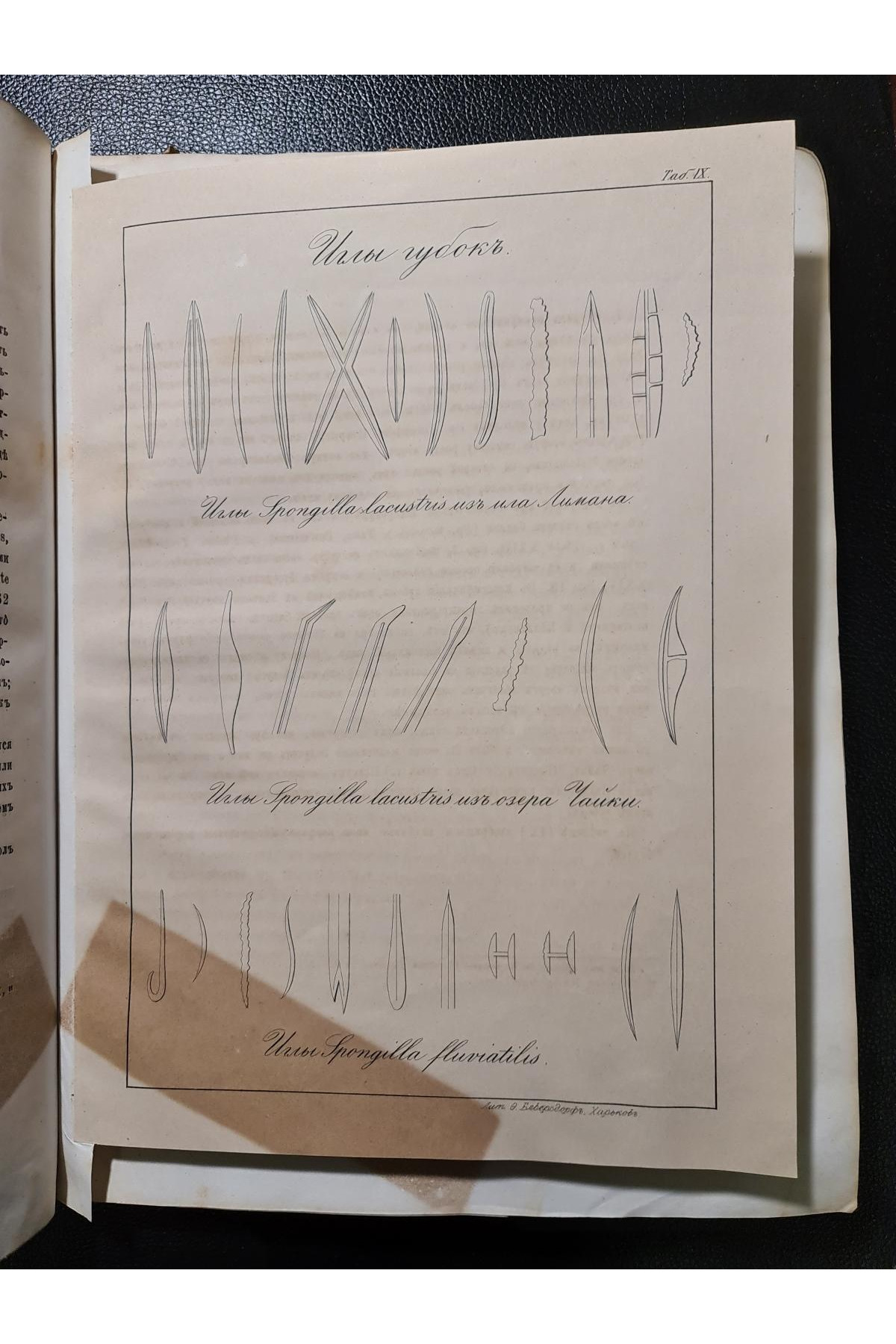 1870 р. Труды Общества испытателей природы при Императорском Харьковском университете