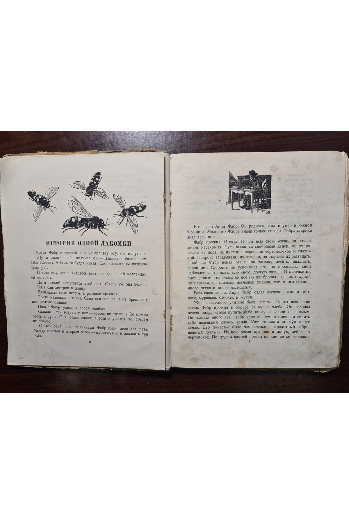 1935 г. Анри Фабра Шестиногие