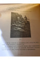 1927 г. Горгонопсид из Северо-Двинских раскопок 1923 года