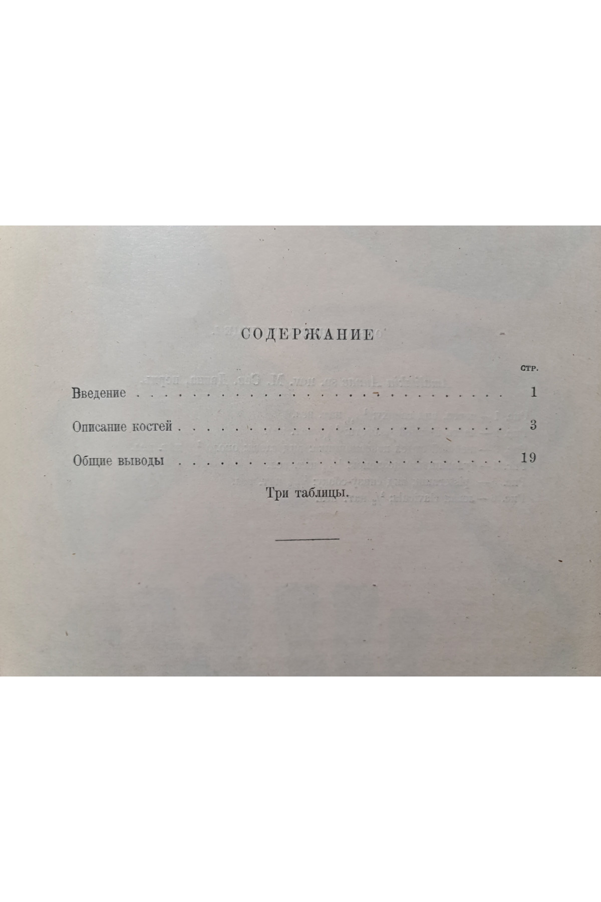1927 г. Горгонопсид из Северо-Двинских раскопок 1923 года
