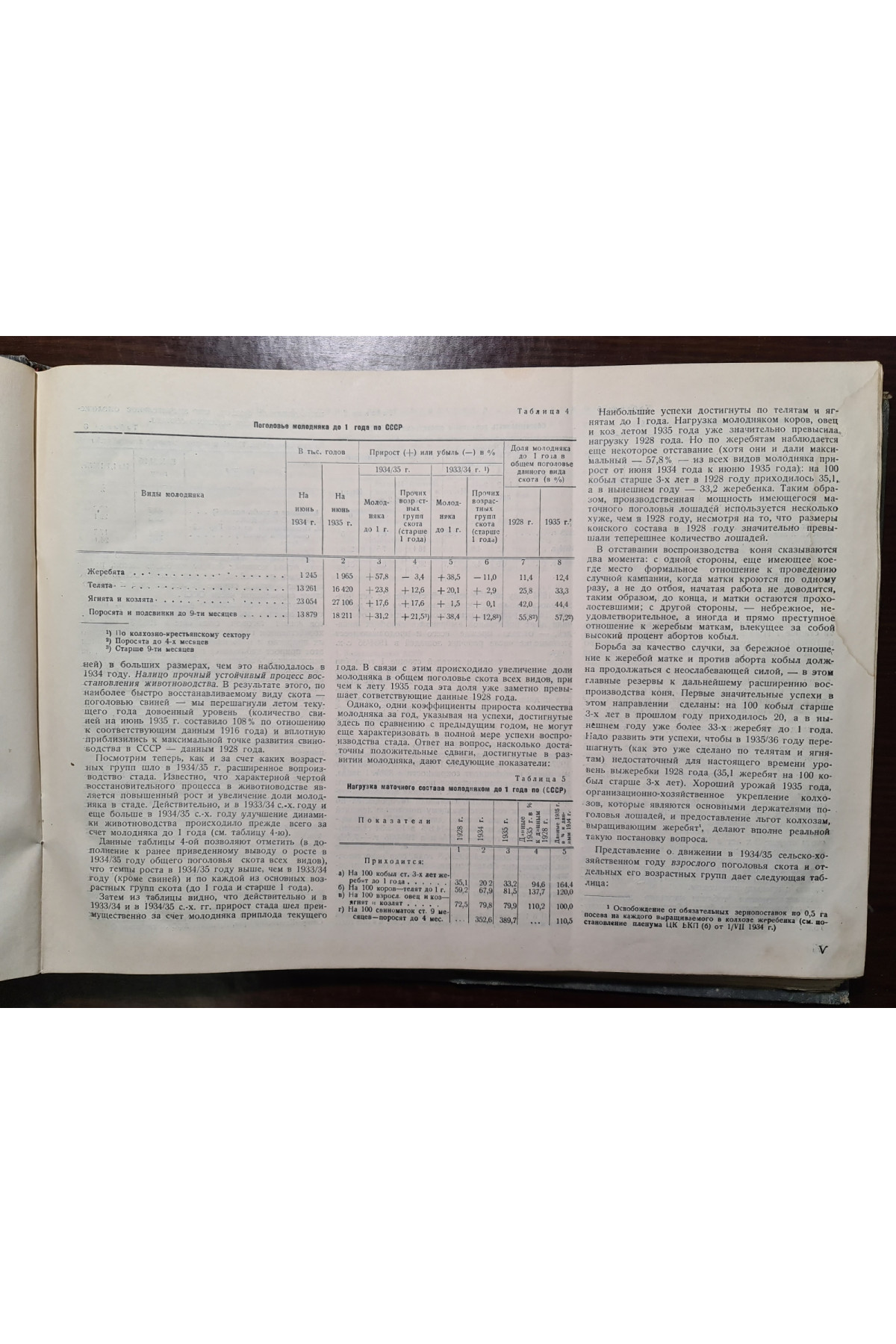 1935 г. Численность скота в СССР на 1935 год