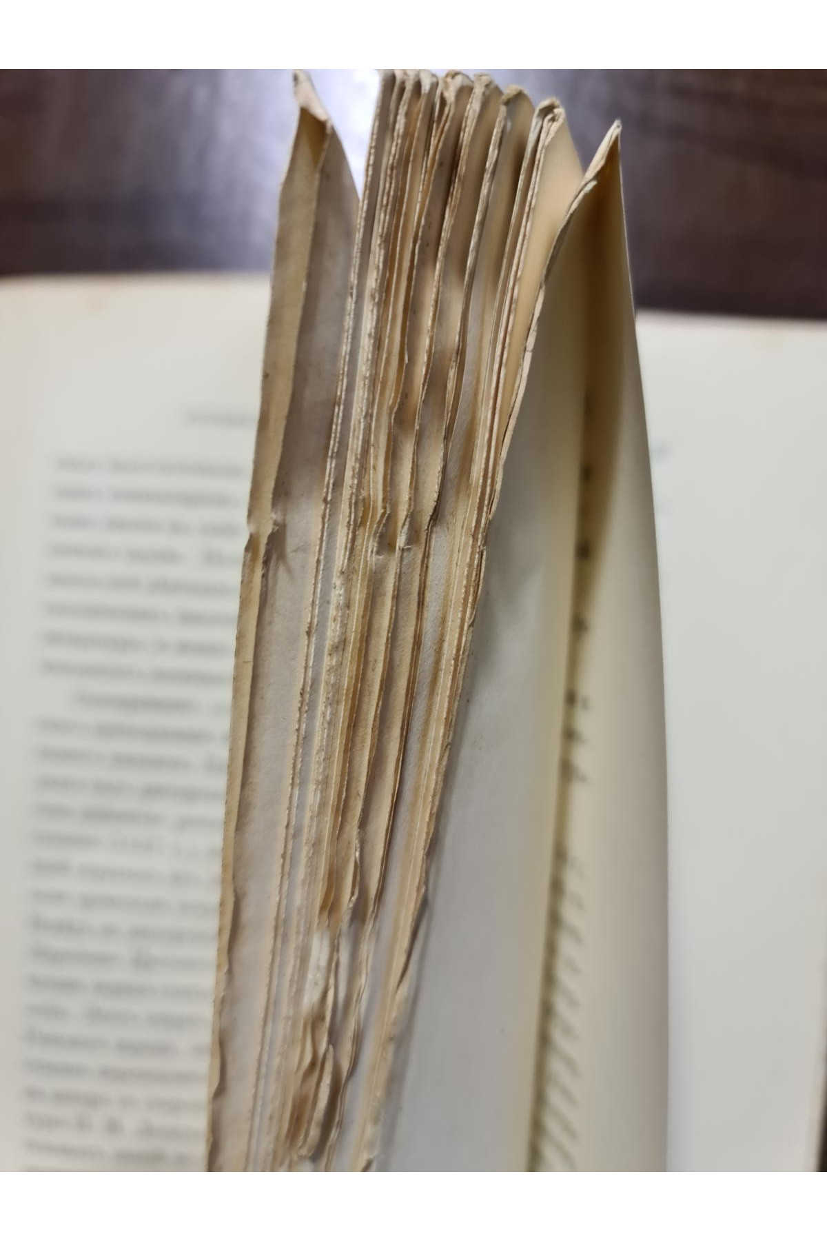 1912 р. Обзор жизни и трудов русских писателей и писательниц