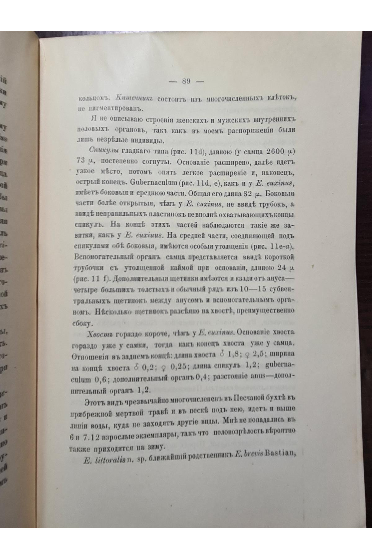 1918 р. Свободноживущие морские нематоды окрестностей Севастополя