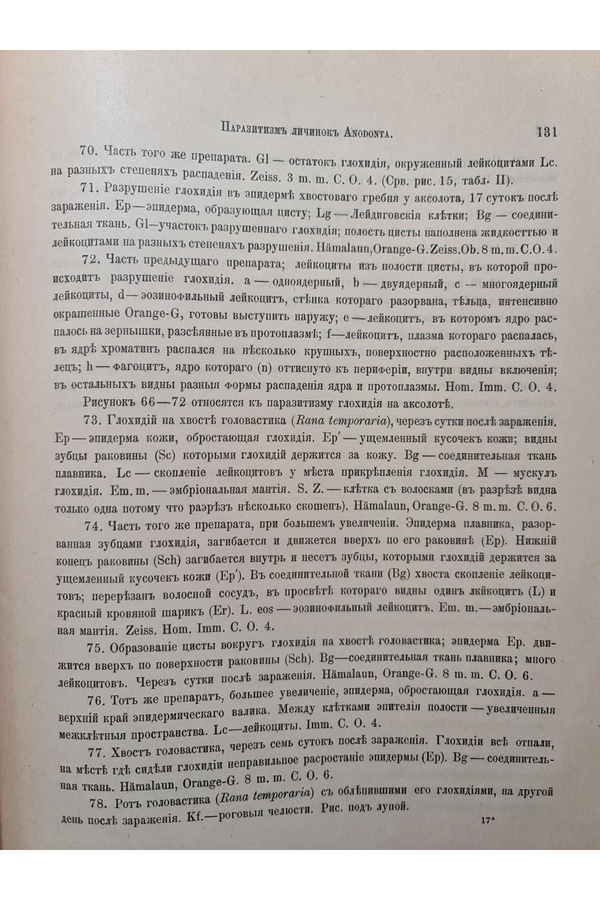 1903 р. Паразитизм личинок Anodonta