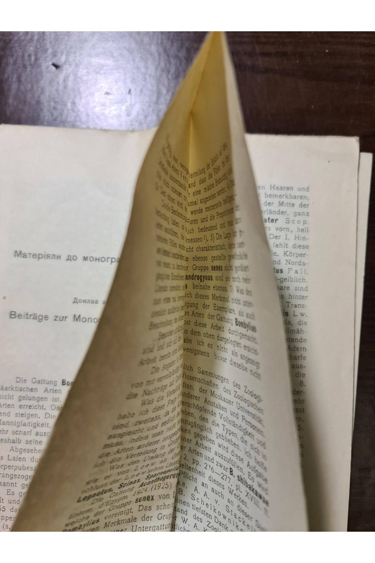 1926 р.  Матеріяли до монографії роду