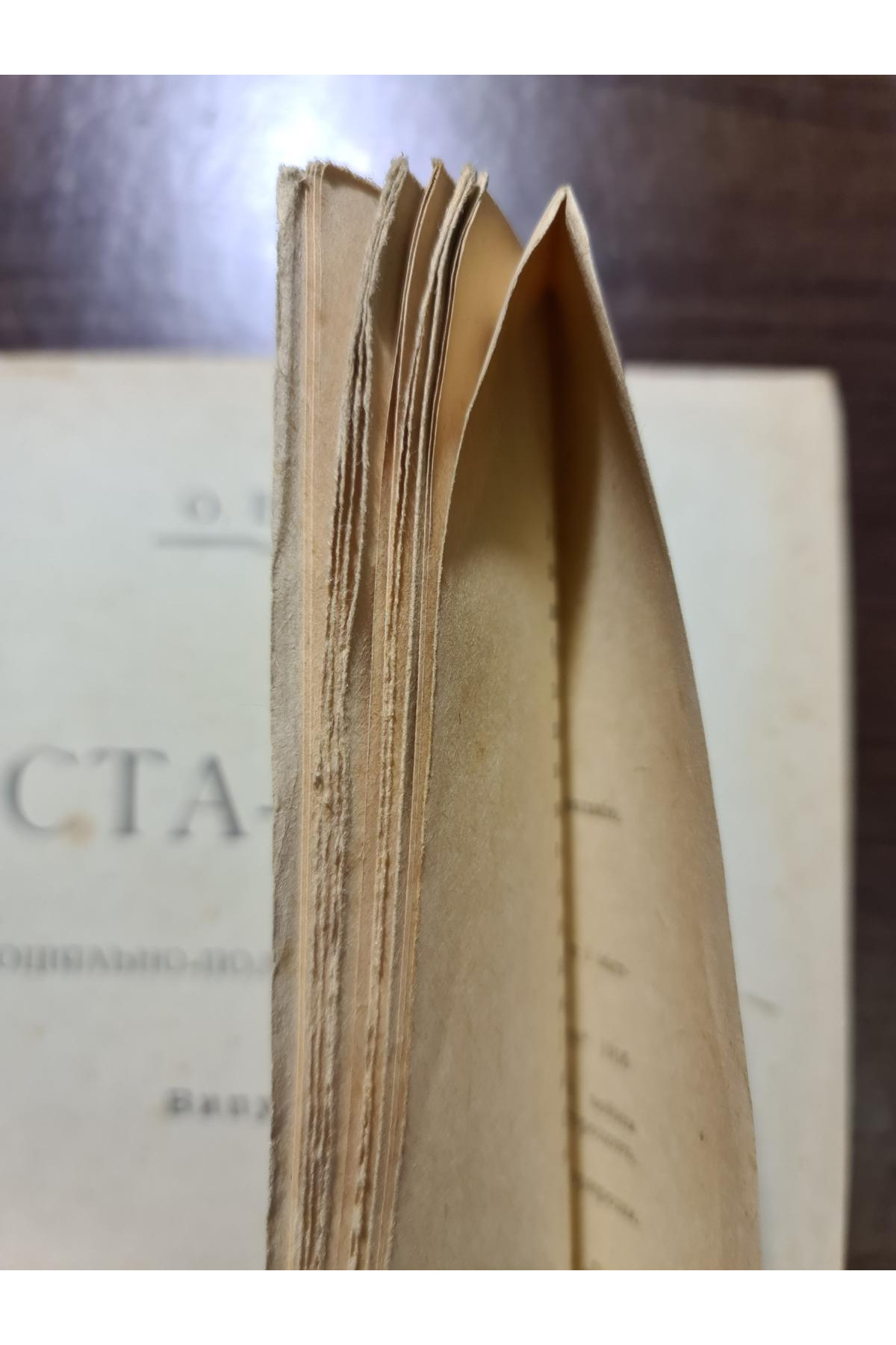 1920 р. Міста-Сади соціяльно-політичні нариси 