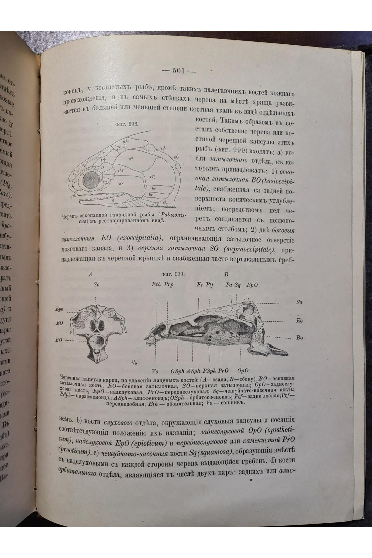 1897 р. Краткий курс палеонтологии Моллюски Лагузин