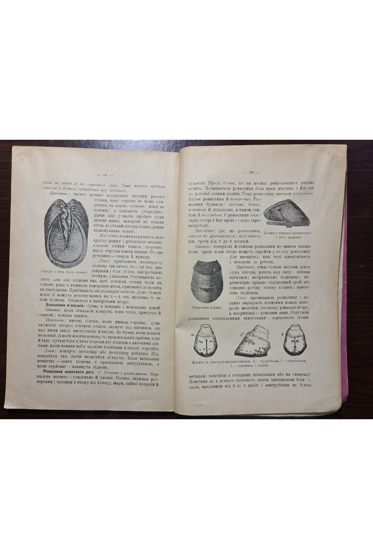 1926 р. Кування коней  