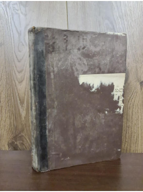 1913 р. Русское Энтомологическое Обозрение