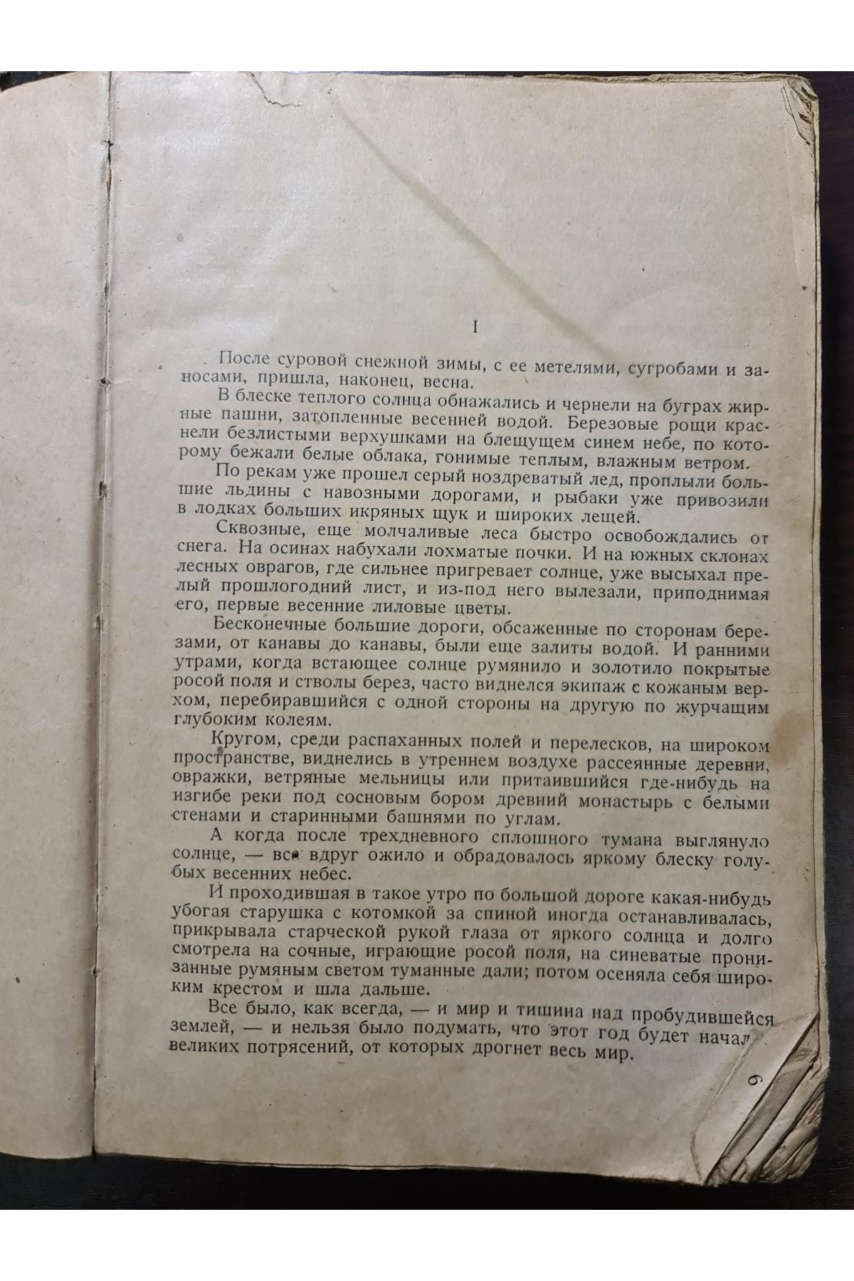 1925 г. Русь. Пантелеймона Романова