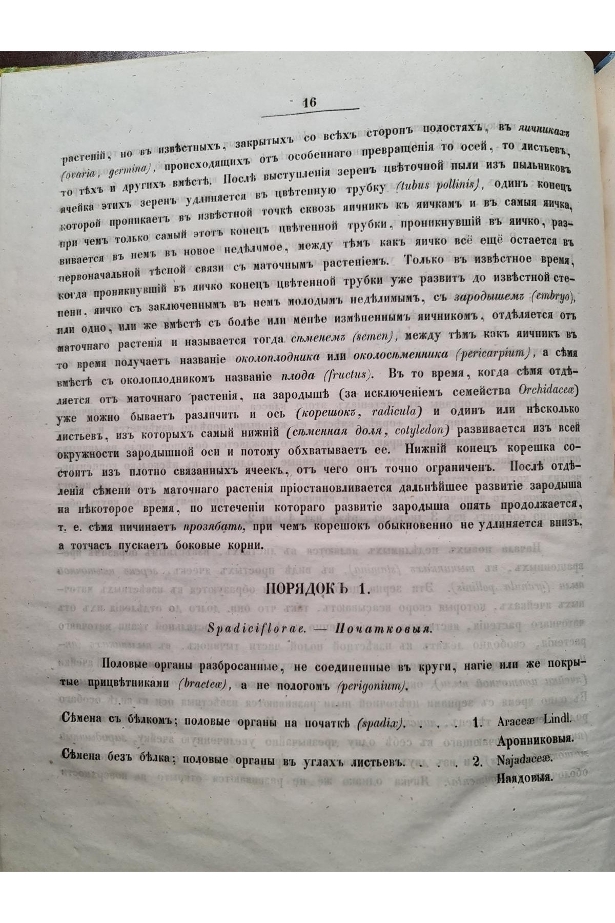 1853 г. Обозрение естественных семейств входящих в состав флоры губ. Киевского учеб. округ
