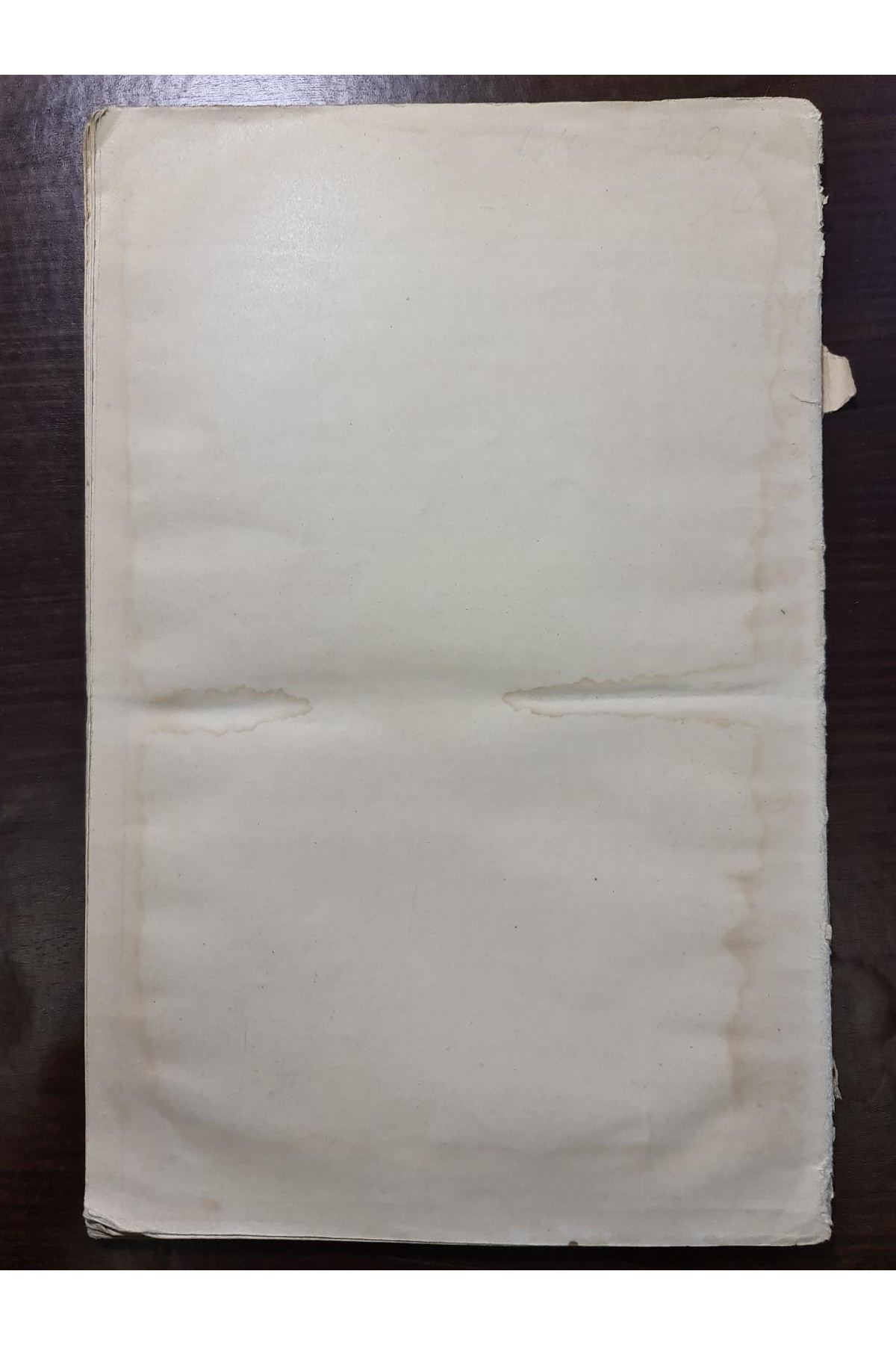 Выставки в Америке в 1915 году Юго-Западного отделения Экспортной палаты