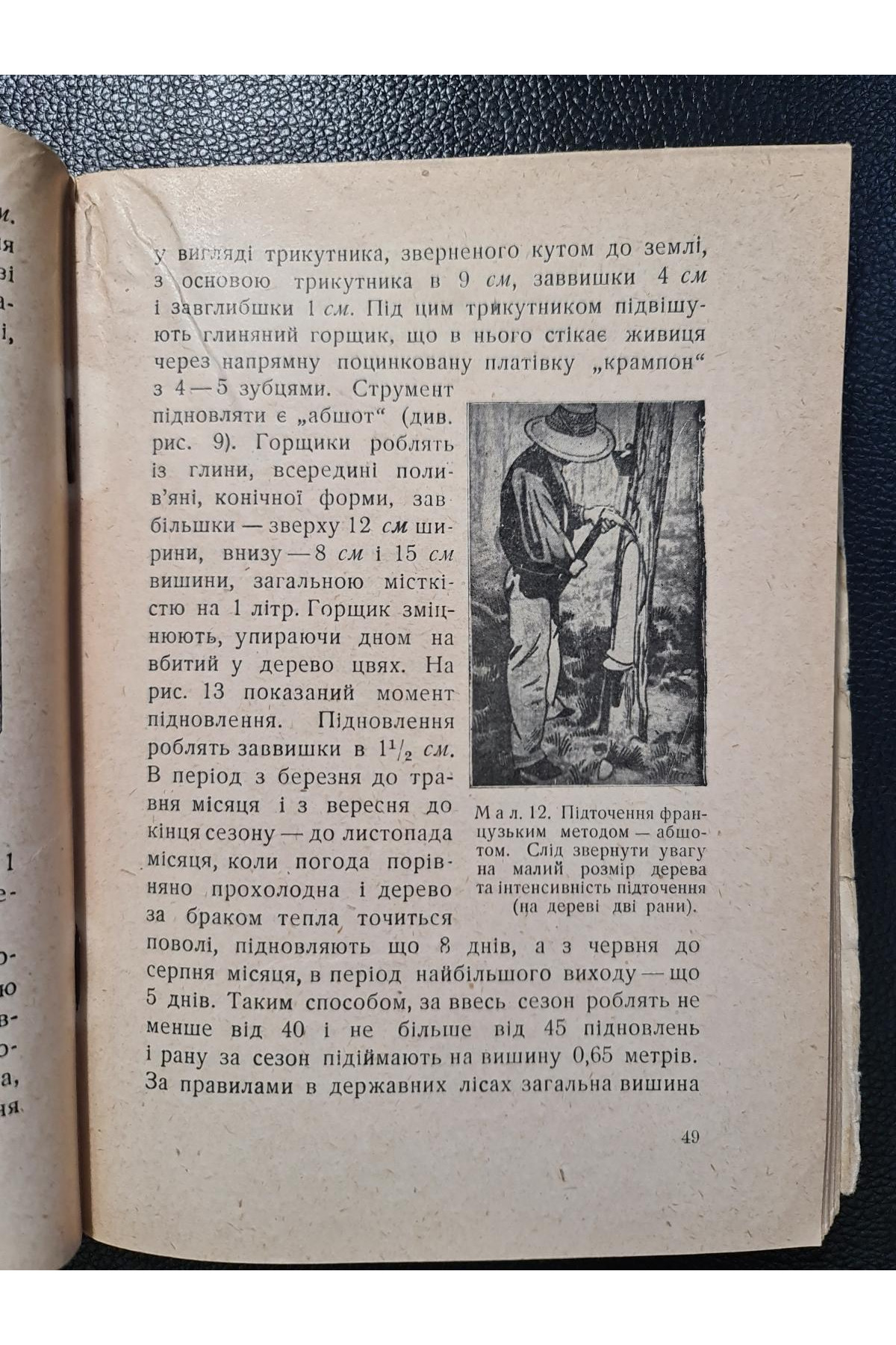 1930 р. Підточення сосни й перероблення живиці . ДВУ. Авангард