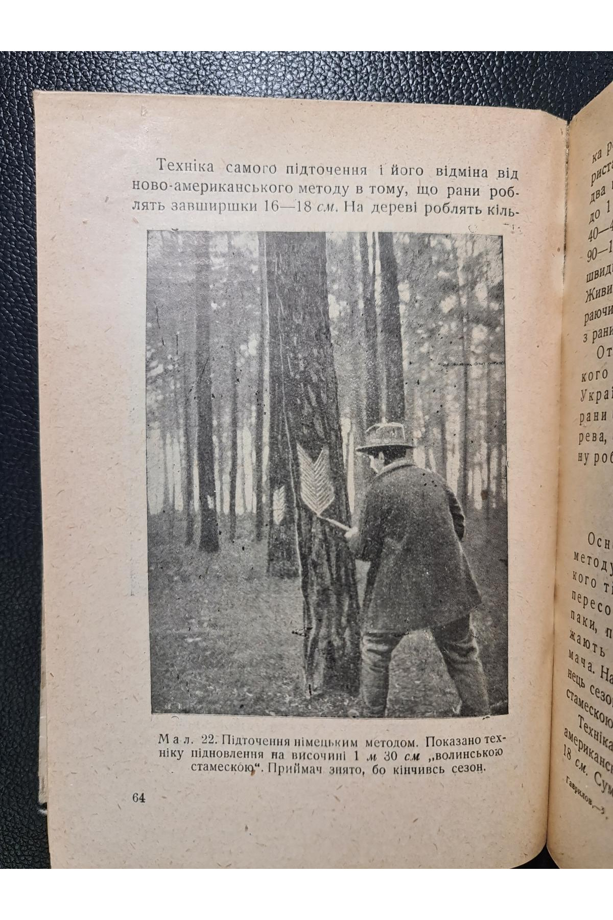 1930 р. Підточення сосни й перероблення живиці . ДВУ. Авангард