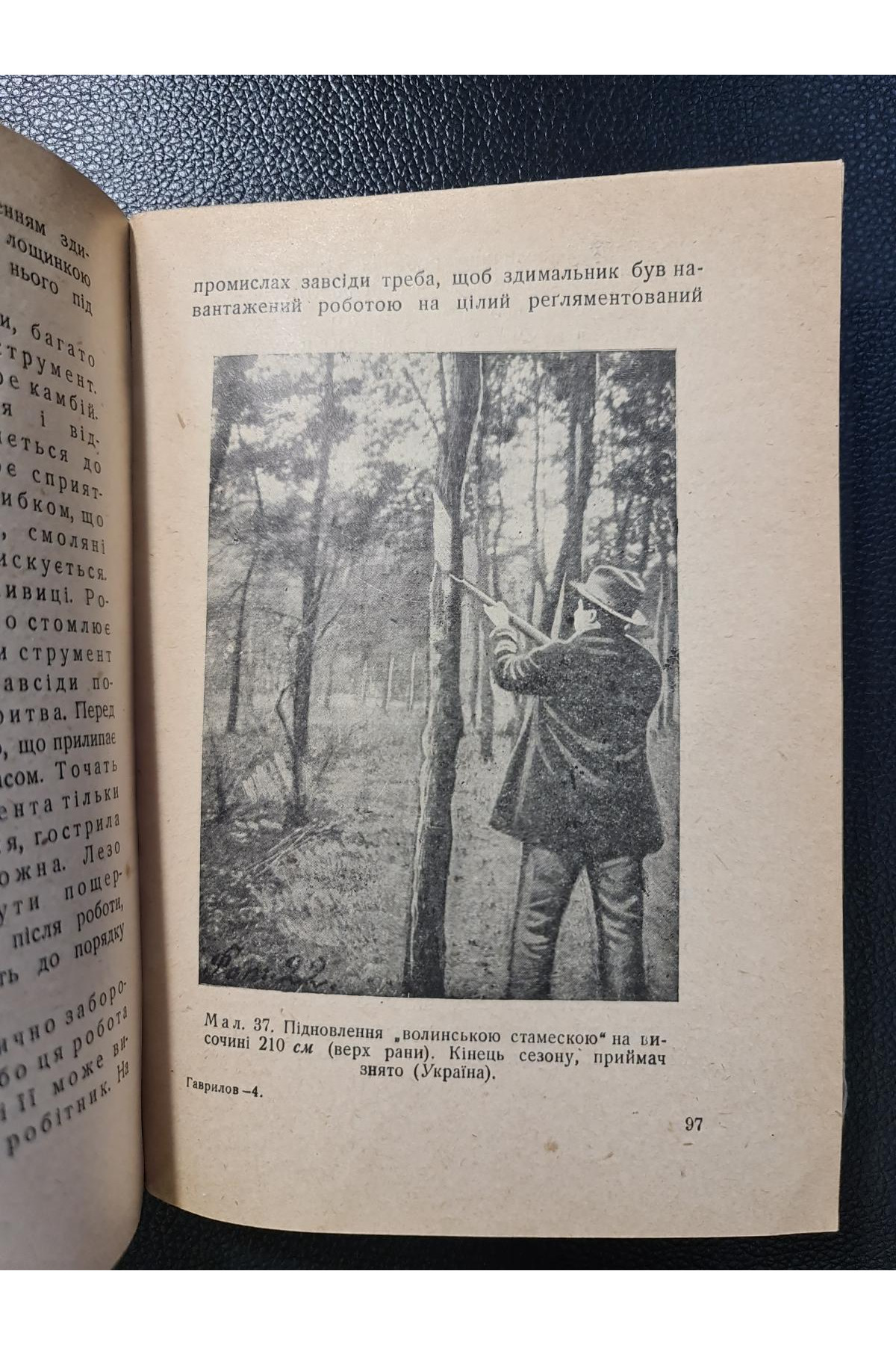 1930 р. Підточення сосни й перероблення живиці . ДВУ. Авангард