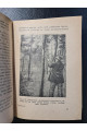 1930 р. Підточення сосни й перероблення живиці . ДВУ. Авангард