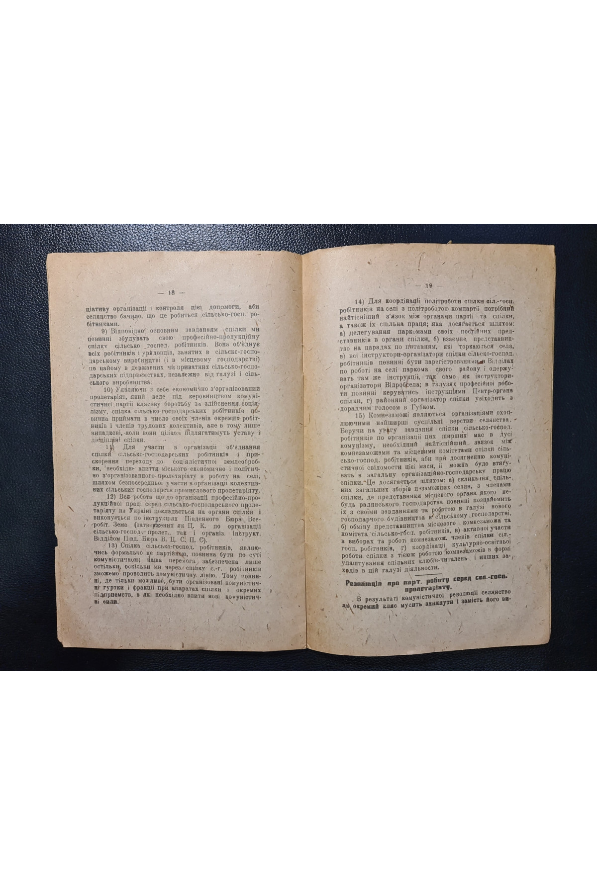 1920 р. Резолюції і тези, ухвалені Першою Всеукраїнською нарадою про роботу на селі