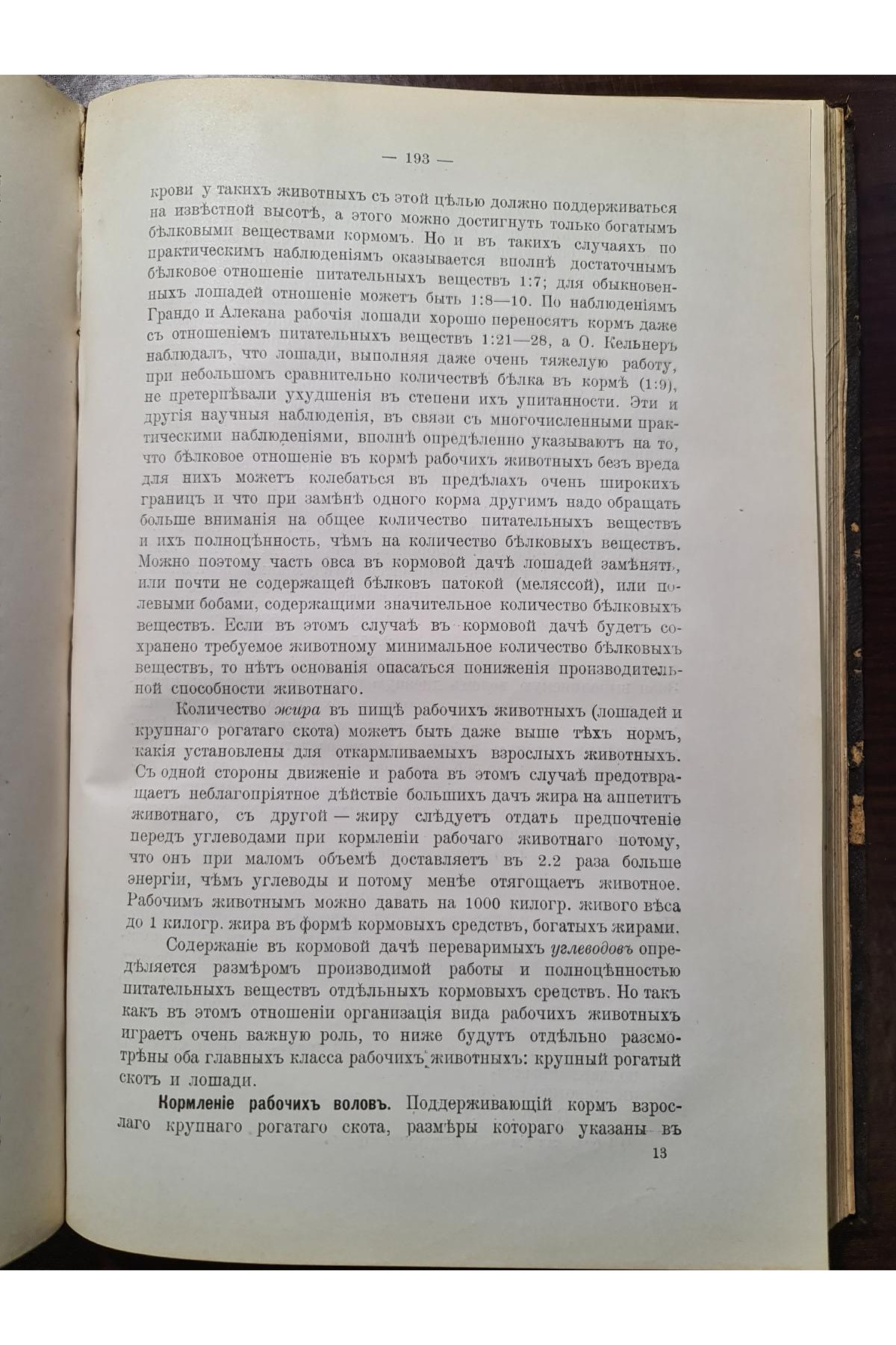 1907 г. Кормление сельскохозяйственных животных