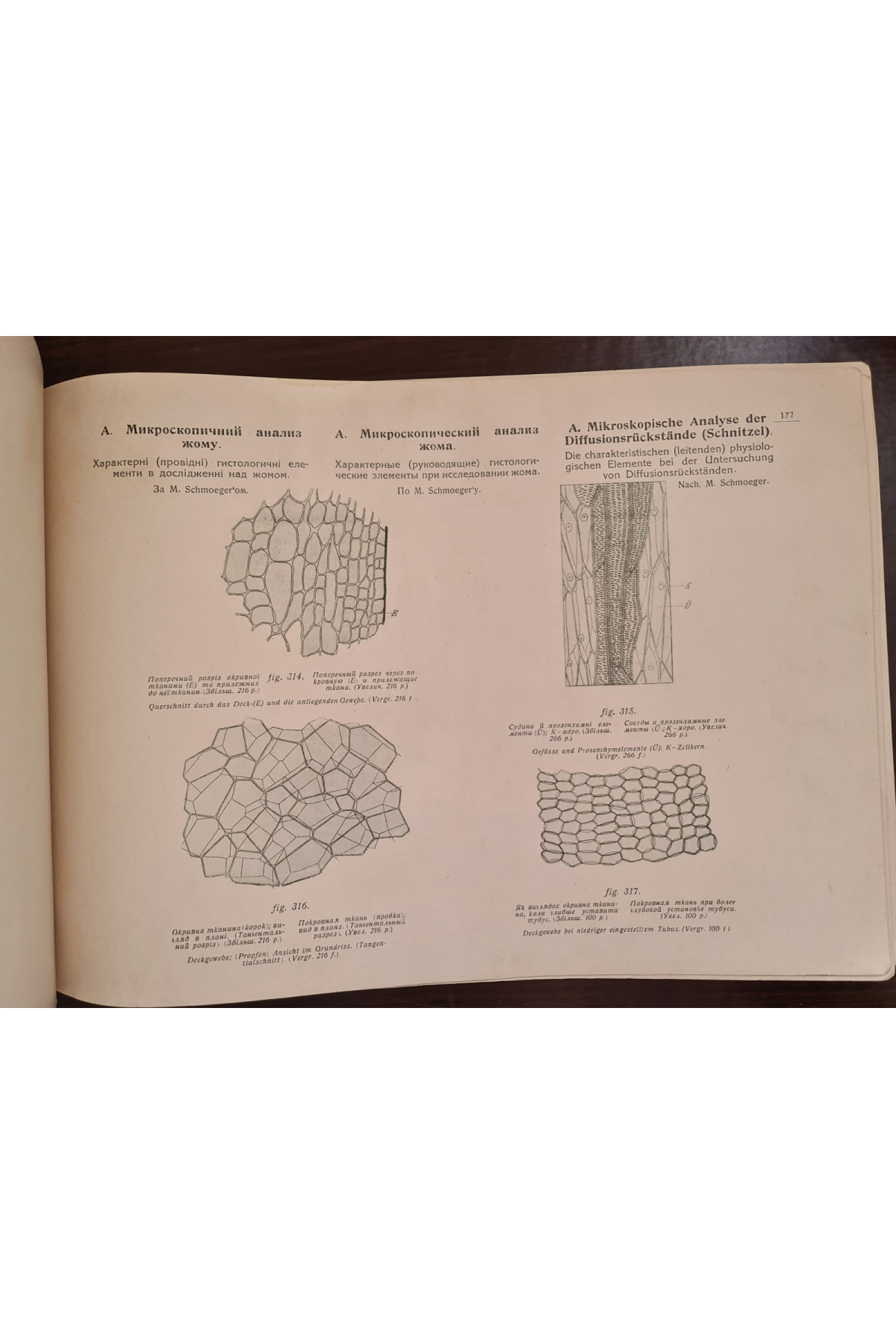 1922 р. Атлас малюнків з анатомії та біології цукрового буряка
