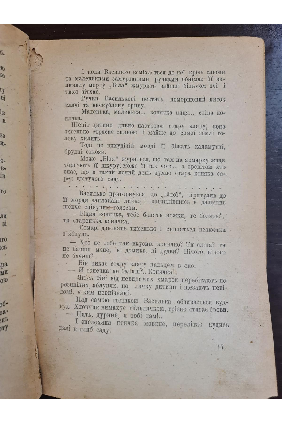  1919 р. Похід життя Галина Журба