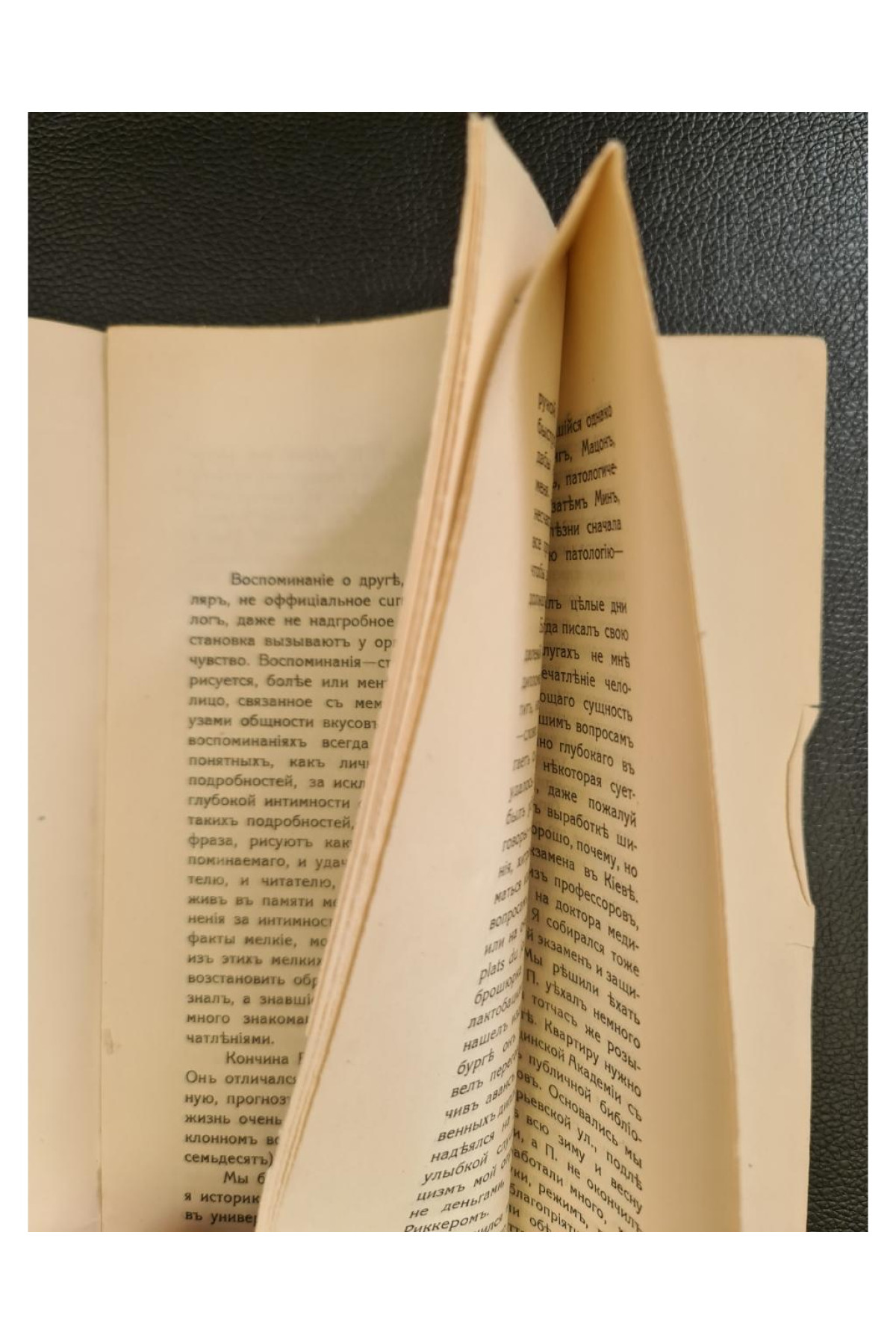 1913 г. Профессор В. В. Подвысоцкій как студент-товарищ