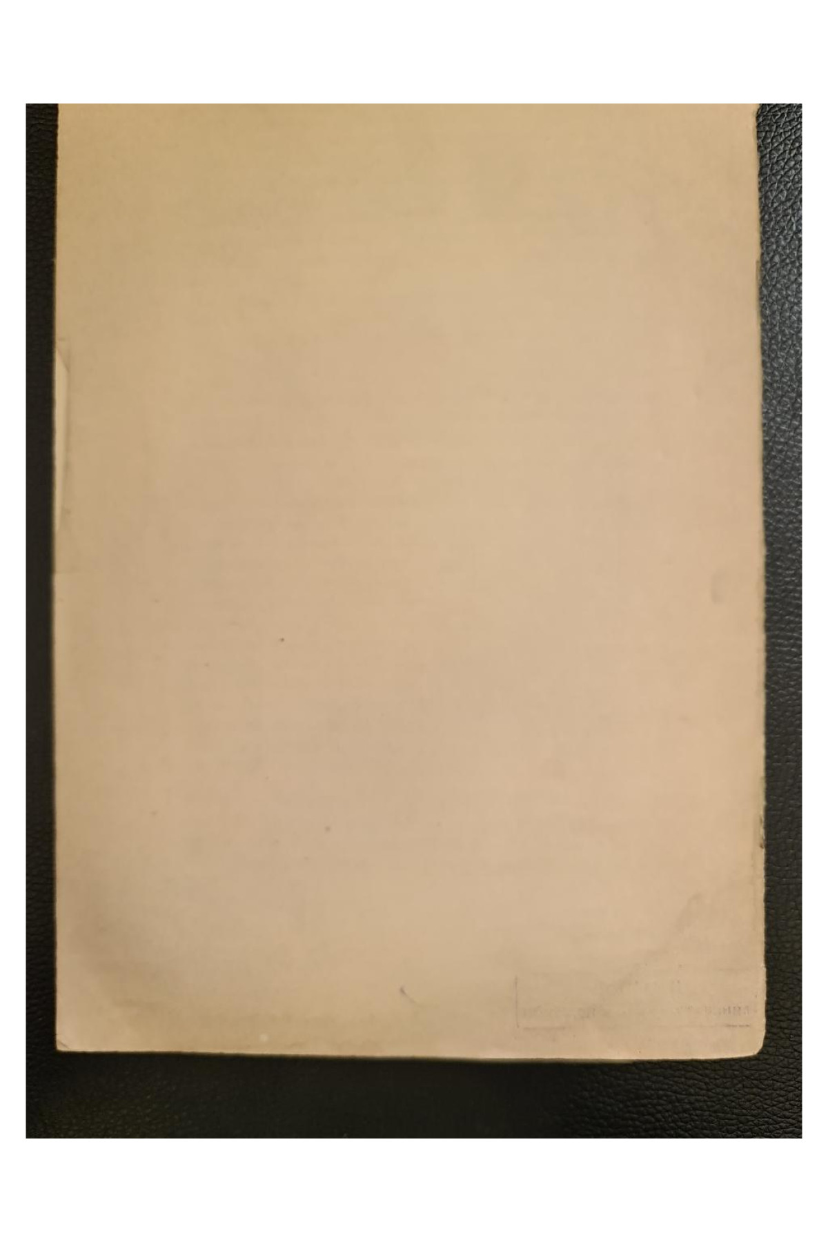 1913 г. Профессор В. В. Подвысоцкій как студент-товарищ