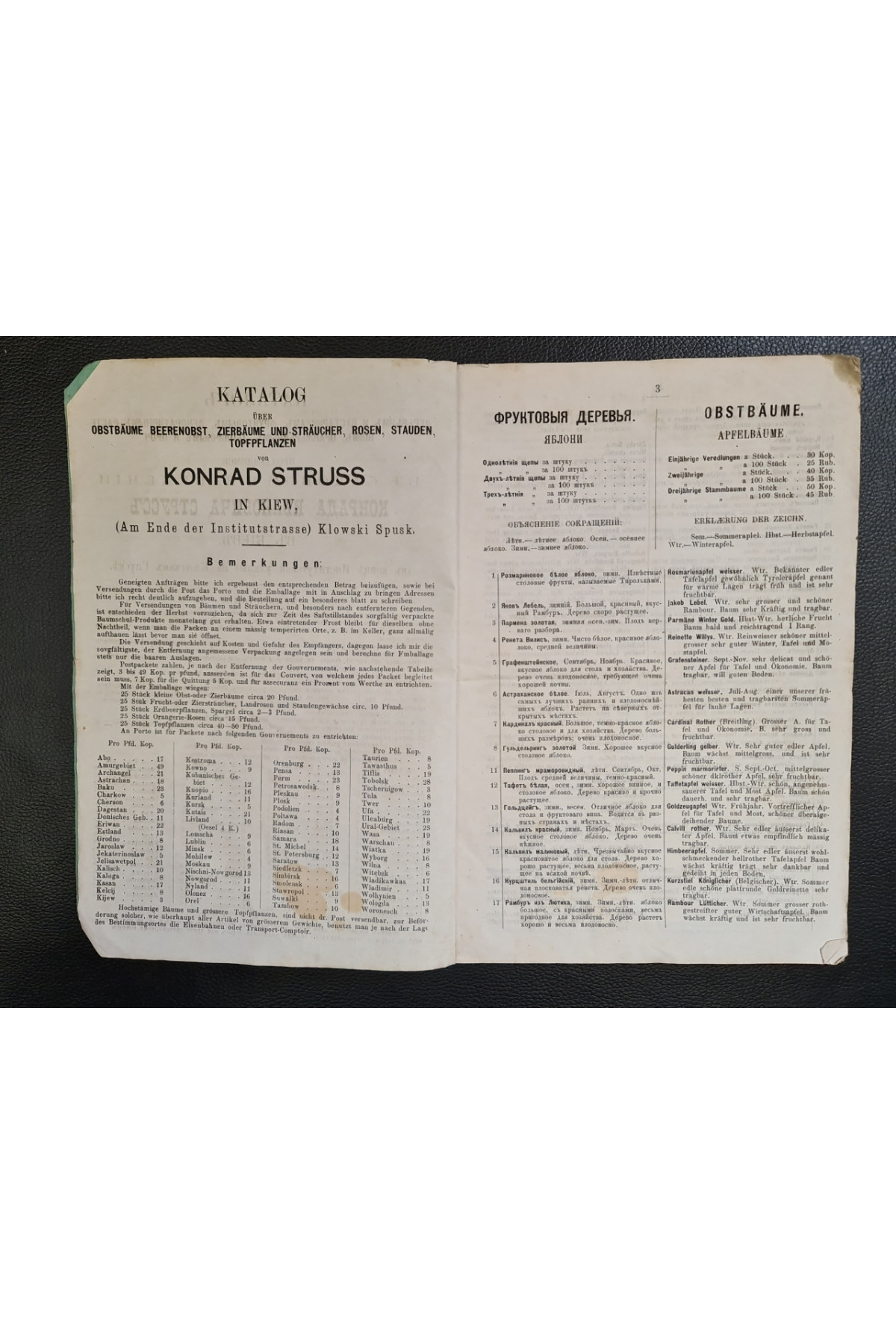 1879 г. Каталог питомника и тепличных растений Конрада Струсса в Киеве (1880-81)