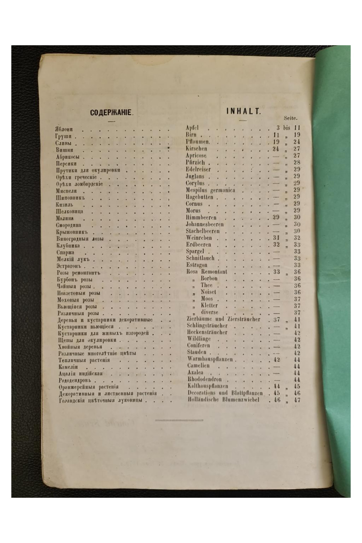 1879 г. Каталог питомника и тепличных растений Конрада Струсса в Киеве (1880-81)
