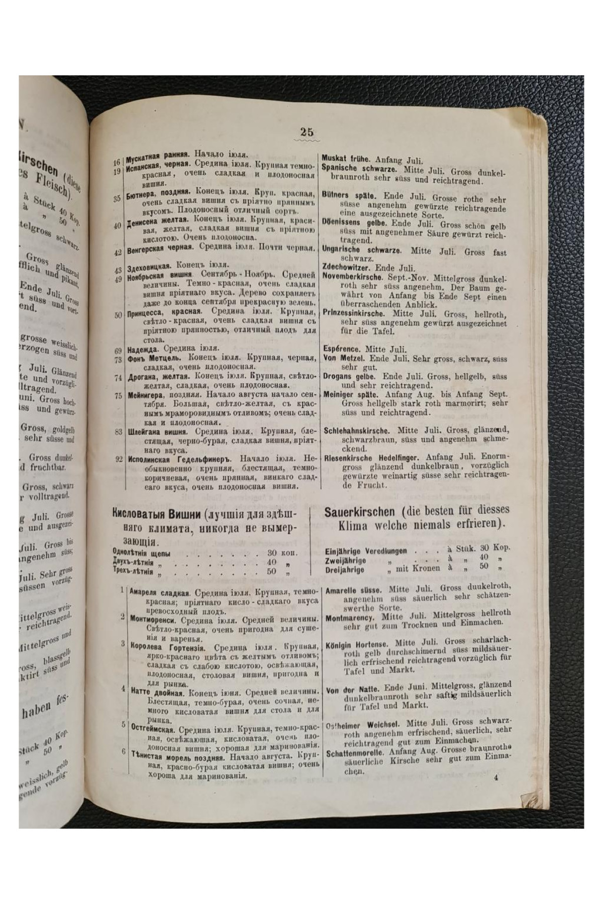 1879 г. Каталог питомника и тепличных растений Конрада Струсса в Киеве (1880-81)